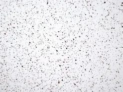 Bord ANTELAO 37 cm 37 cm Terrazzo effekt Hvid terrazzo