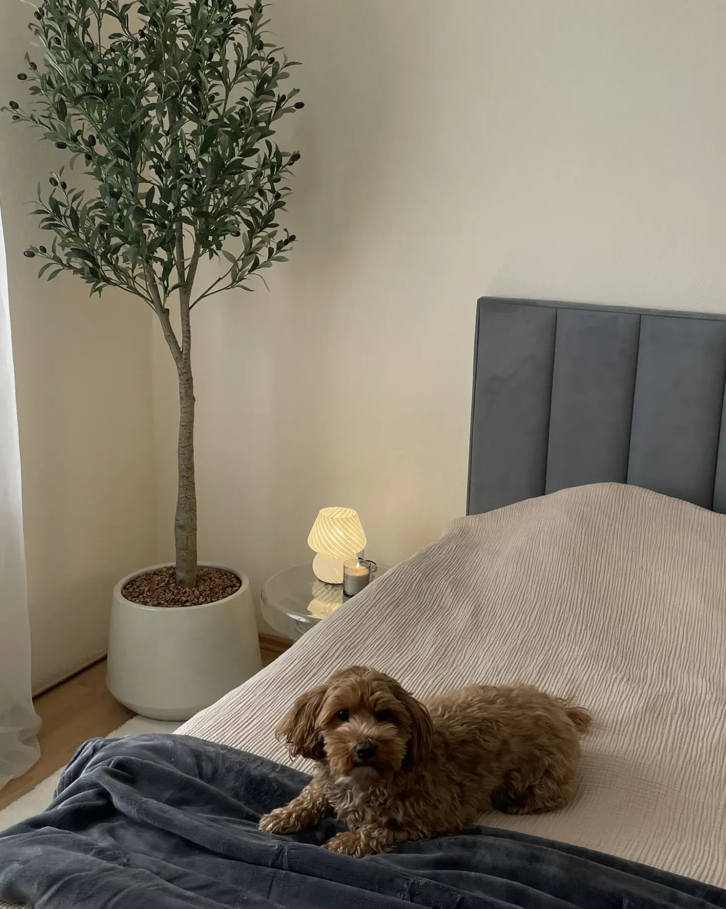 Bordlampe LOBO Glas Hvid