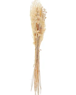 Buket af tørrede blomster BRUNETE 65 cm Naturlig