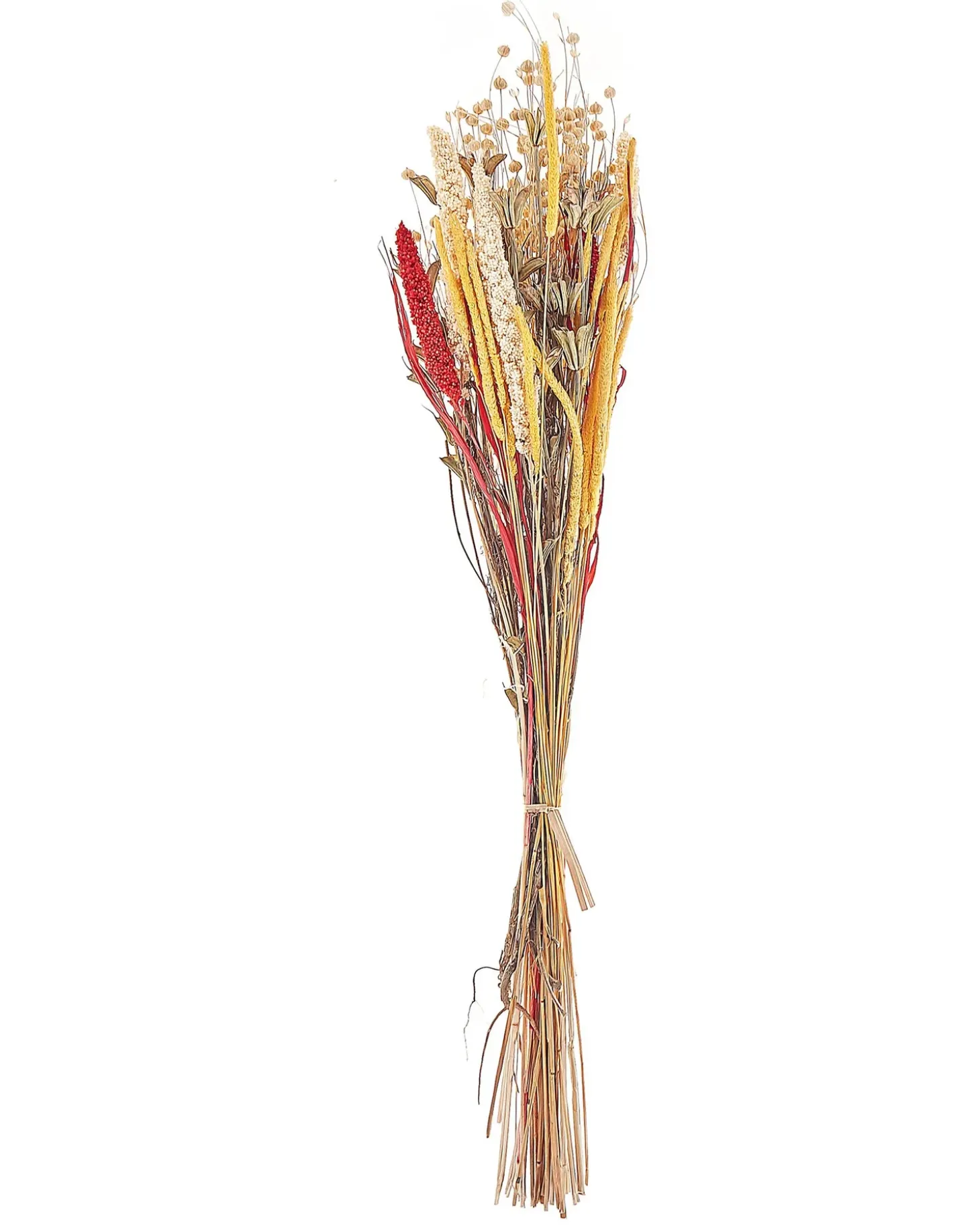 Buket af tørrede blomster PAMPELUNA 65 cm Naturlig