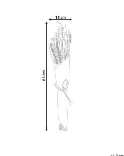 Buket af tørrede blomster PAMPELUNA 65 cm Naturlig