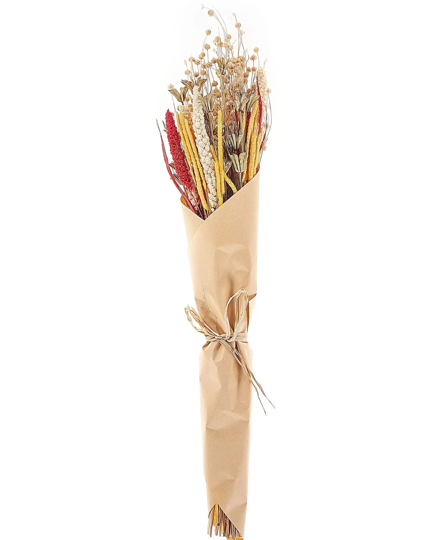 Buket af tørrede blomster PAMPELUNA 65 cm Naturlig