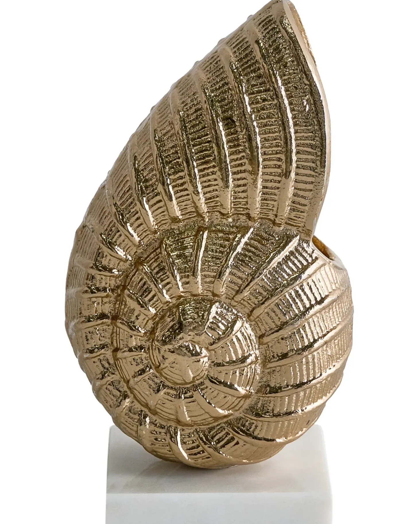 Dekorativ figur Muslingeskal TULJE Metal Guld