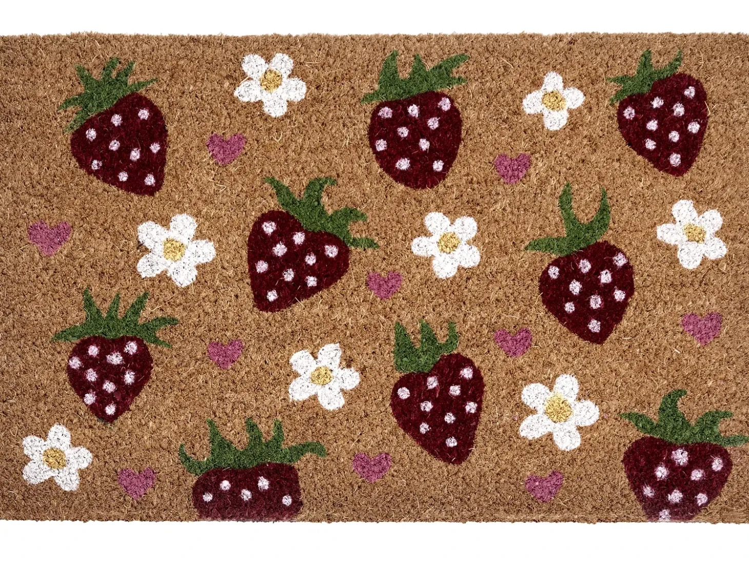 Dørmåtte SHAININ Multifarvet 50 x 80 cm Kokos