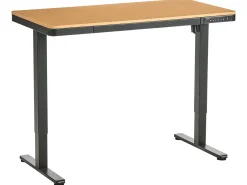 Elektrisk justerbart hæve sænkebord PENLY 120 cm 60 cm med USB-port