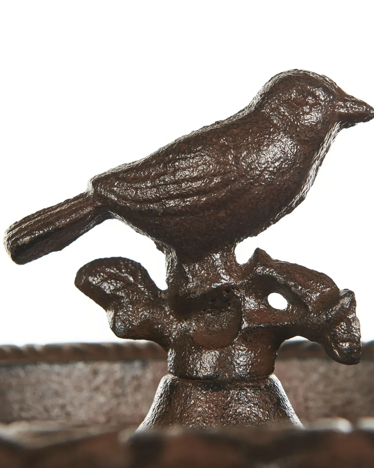 Fuglebad SWALLOW Brun