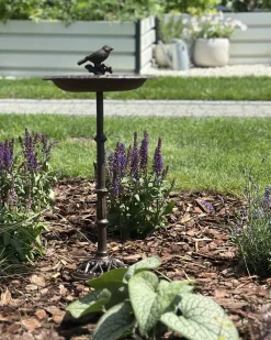 Fuglebad SWALLOW Brun