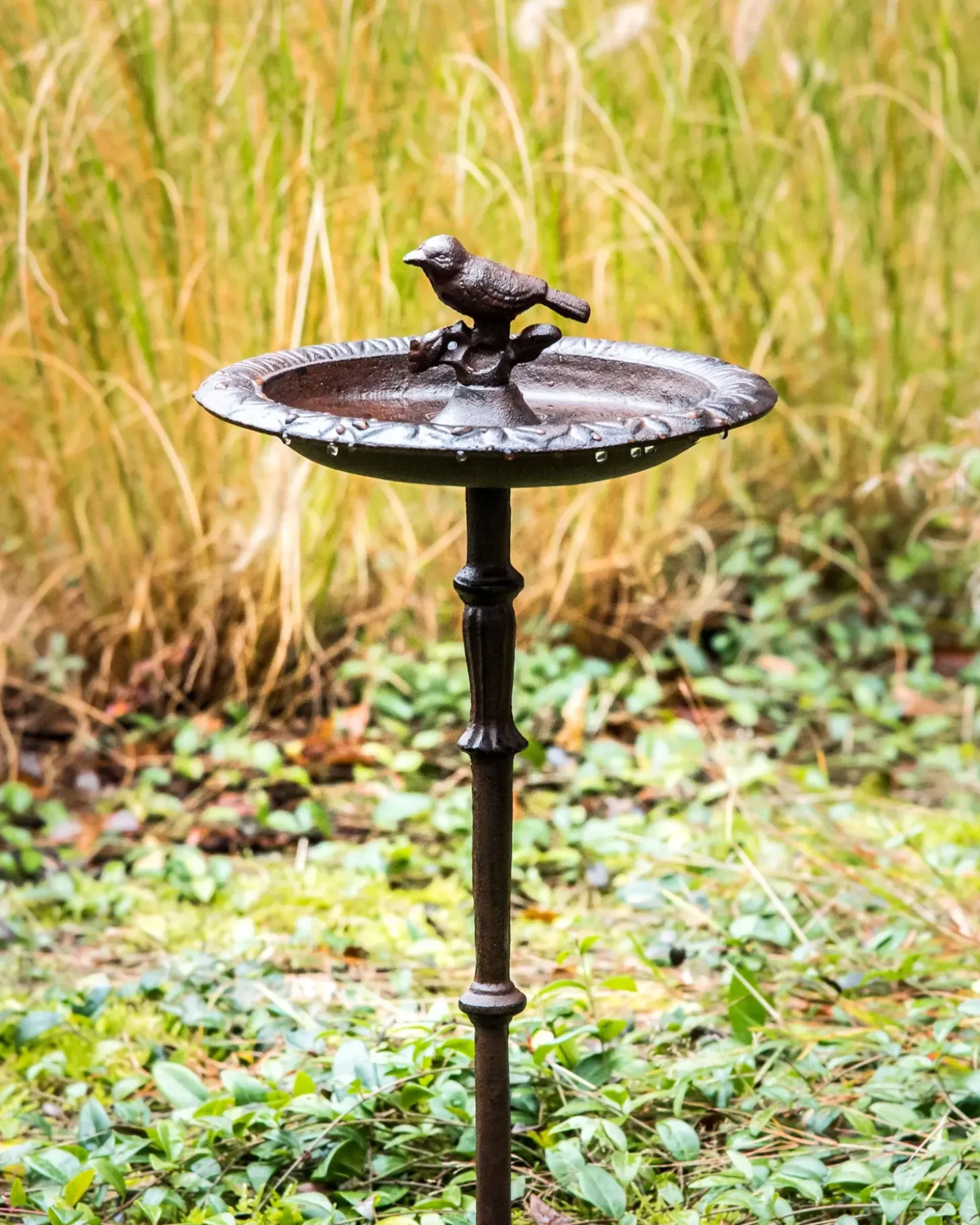 Fuglebad SWALLOW Brun