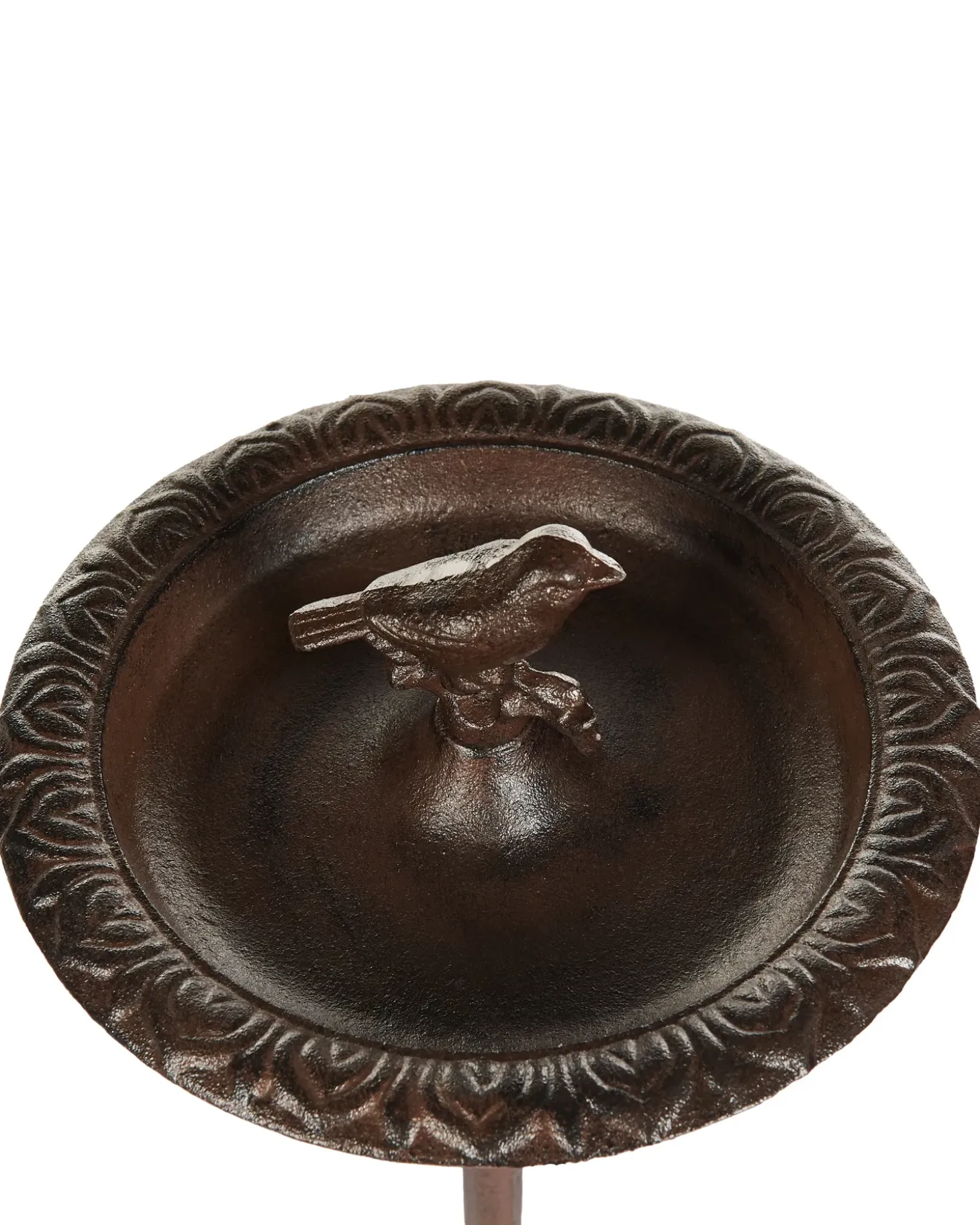 Fuglebad SWALLOW Brun