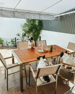 GROSSETO 6 personers Havemøbelsæt Brun/beige Eukalyptustræ