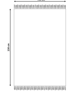 Gulvtæppe DILIJAN Multifarvet 160 x 230 cm Bomuld Kelim