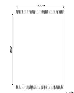 Gulvtæppe TARONIK Multifarvet 200 x 300 cm Bomuld Kelim