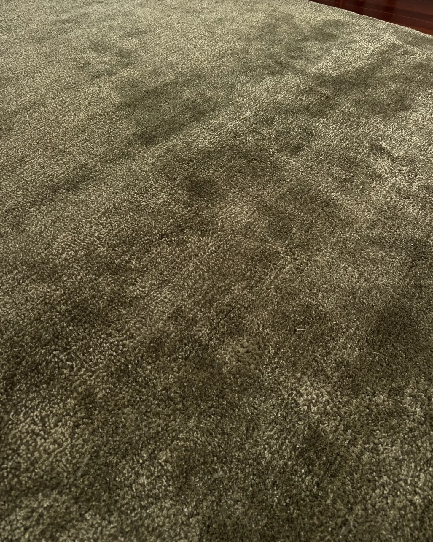 Gulvtæppe MITHA Olivengrøn 200 x 300 cm Viskose
