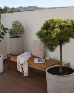 Havebænk CHIOGGIA 155 cm Certificeret akacietræ Lysebrun