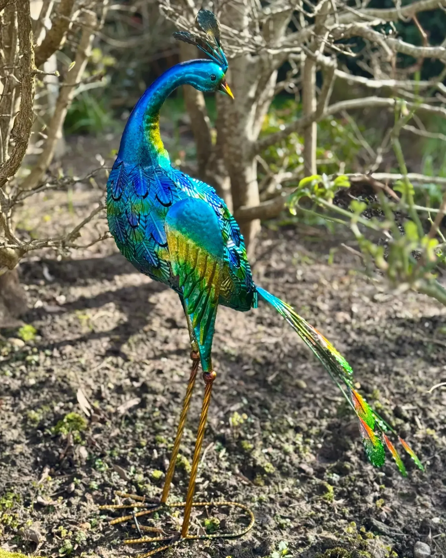 Havestatue PEACOCK Blå