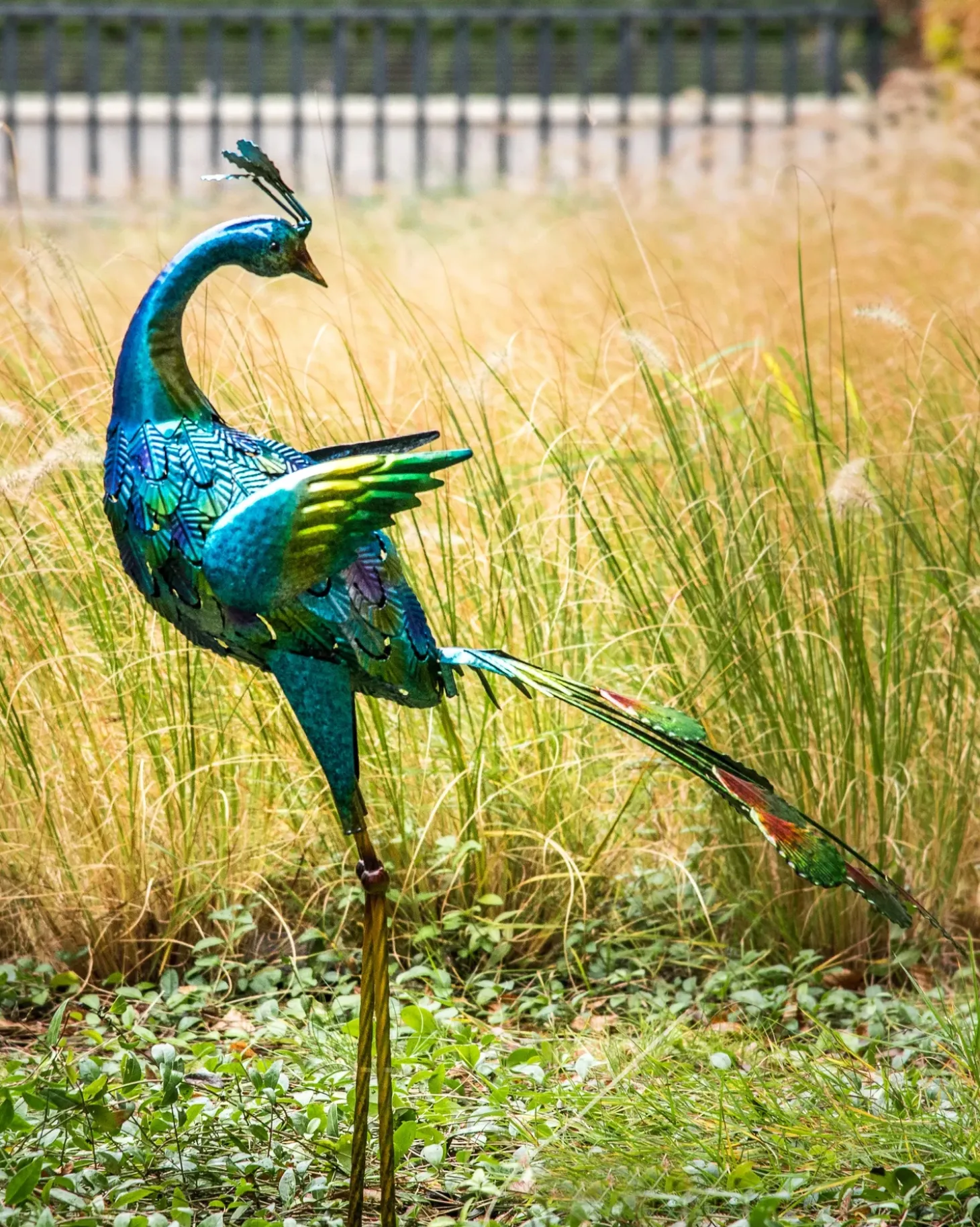 Havestatue PEACOCK Blå