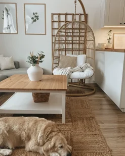 Hængestol med stativ ALLERA PE-rattan Beige