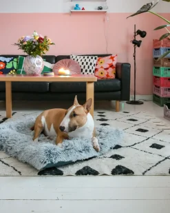 Hundepude ERGANI Velour Blå
