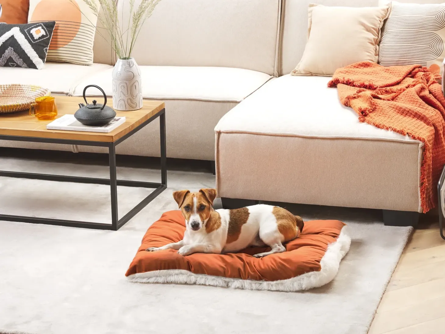 Hundepude ERGANI Velour Orange