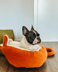 Hundepude HASSA Velour Orange