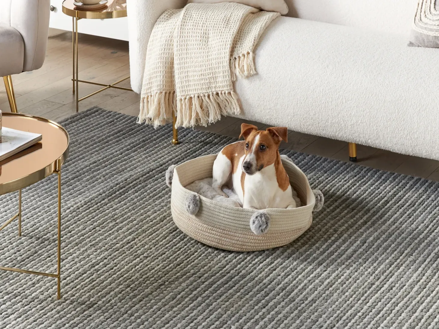 Hundepude ORTACA Bomuld Lys Beige