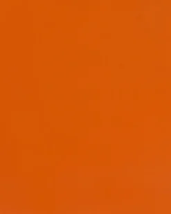 Hylder til garagen FIUGGI Metal 200 cm 200 cm Orange