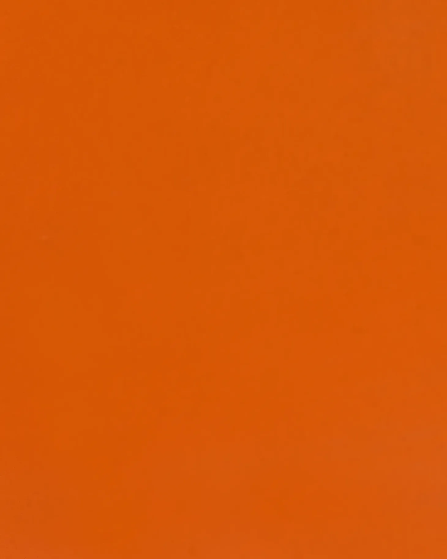 Hylder til garagen FIUGGI Metal 200 cm 150 cm Orange