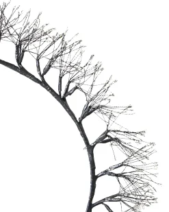 Julekrans LED MUGGAN Krans 52 cm Sort