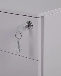 Kontorskab CAMI Metal Lysegrå