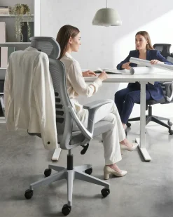 Kontorstol ERGONOX Grå