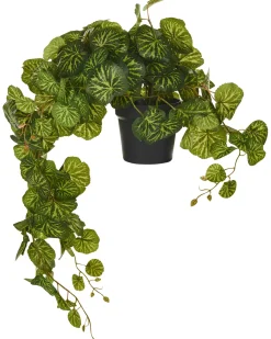 Kunstig hængeplante STRAWBERRY BEGONIA 37 cm Grøn