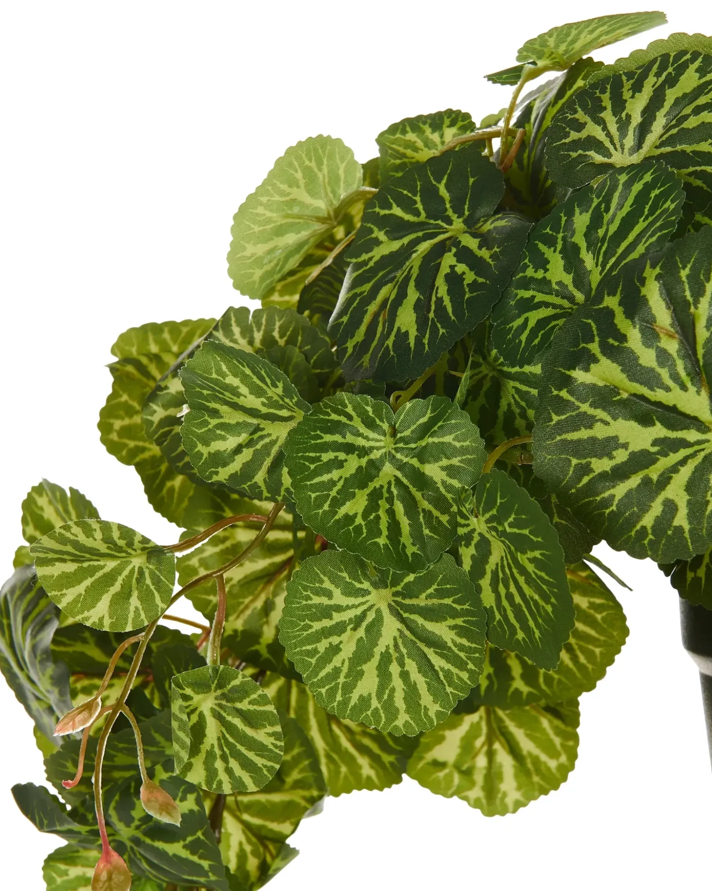 Kunstig hængeplante STRAWBERRY BEGONIA 37 cm Grøn