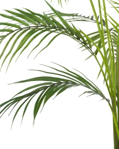 Kunstig plante ARECA PALM 124 cm Grøn