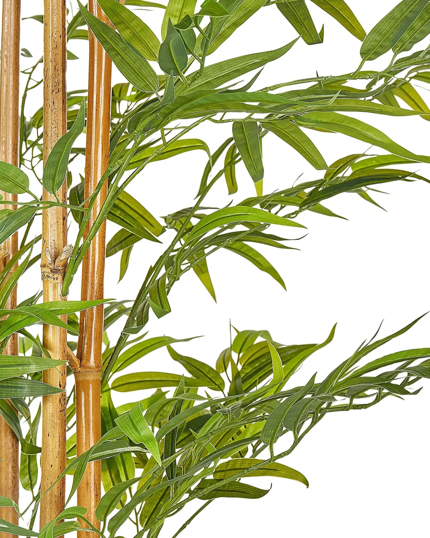 Kunstig plante BAMBOO 220 cm Grøn