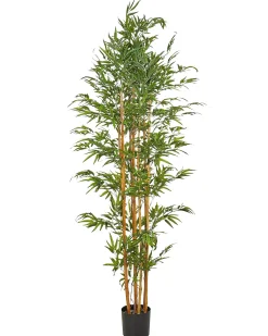 Kunstig plante BAMBOO 220 cm Grøn