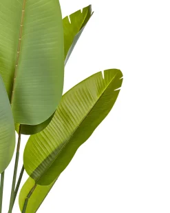 Kunstig plante BANANA TREE 187 cm Grøn