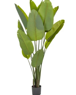Kunstig plante BANANA TREE 187 cm Grøn