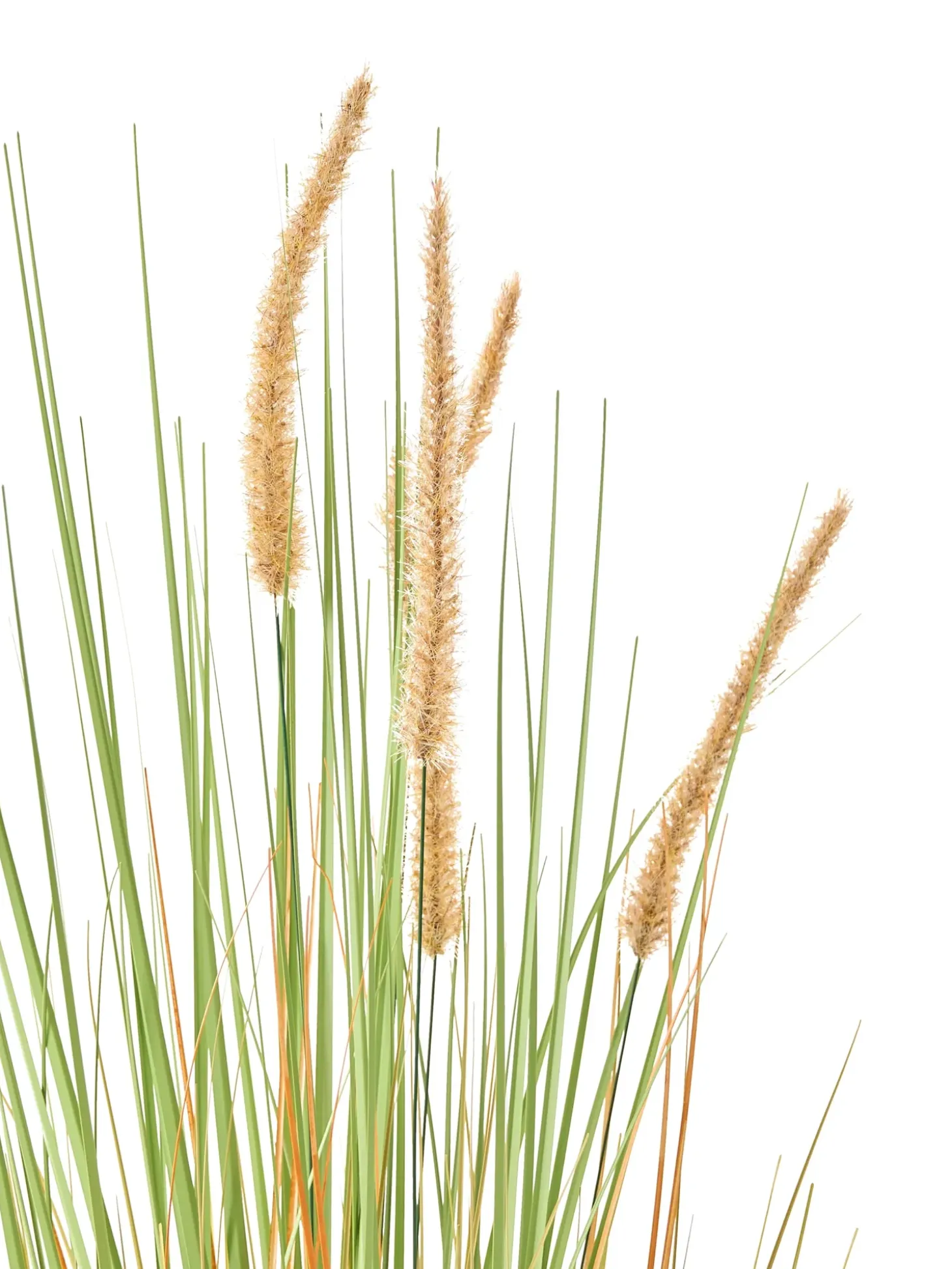 Kunstig plante BRISTLEGRASS 90 cm Grøn