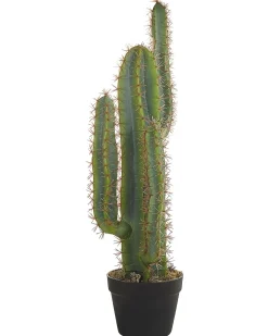 Kunstig plante CACTUS 78 cm Grøn