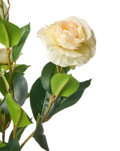 Kunstig plante CAMELLIA 60 cm Grøn