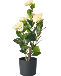 Kunstig plante CAMELLIA 60 cm Grøn