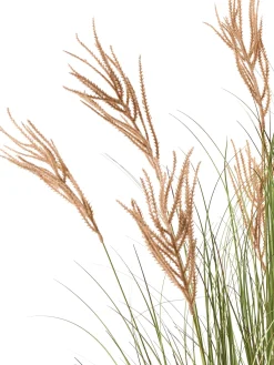 Kunstig plante CLAW FLOWER 150 cm Grøn