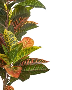 Kunstig plante CODIAEUM 140 cm Grøn