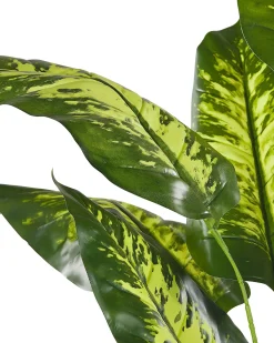 Kunstig plante DIEFFENBACHIA 122 cm Grøn