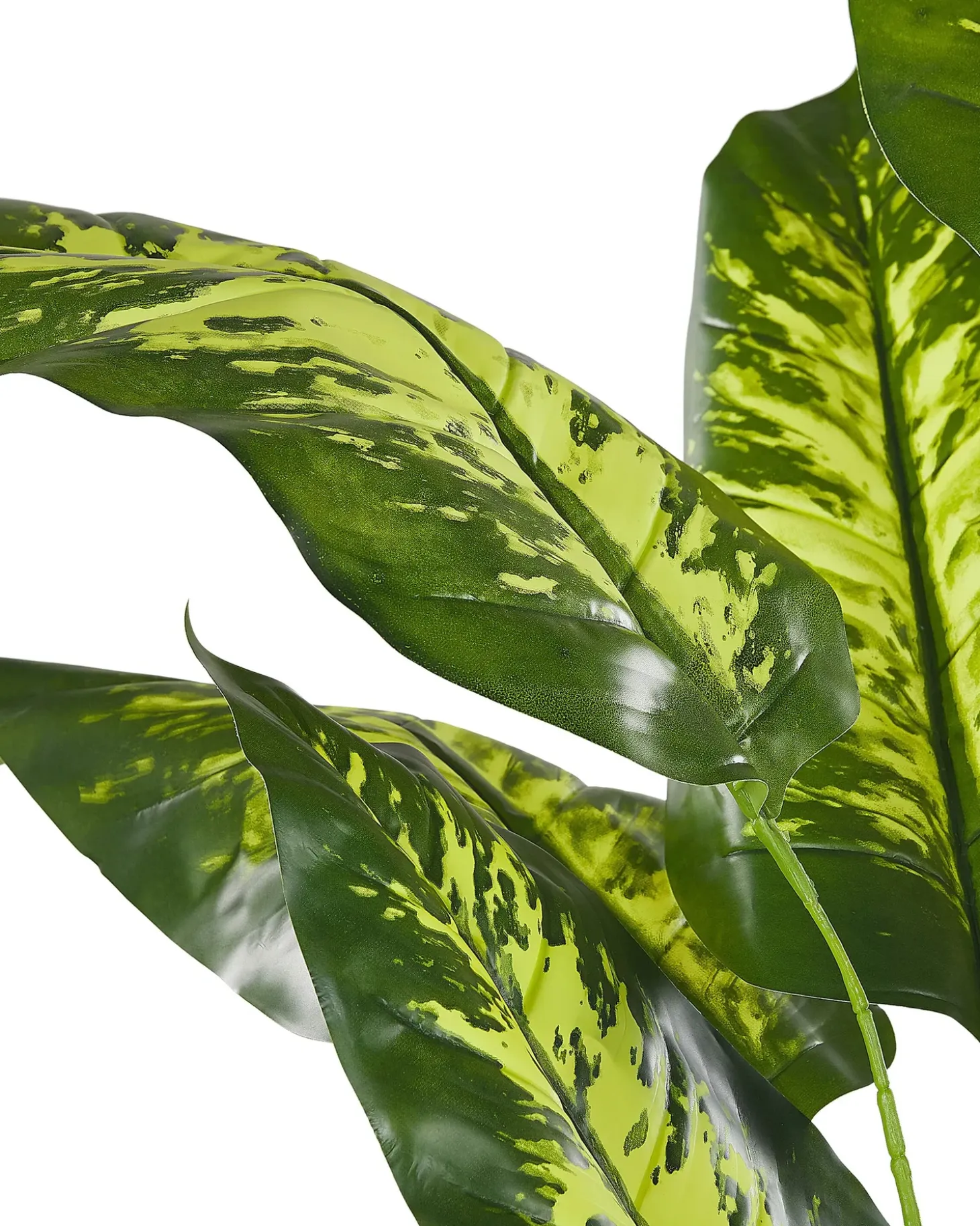 Kunstig plante DIEFFENBACHIA 122 cm Grøn