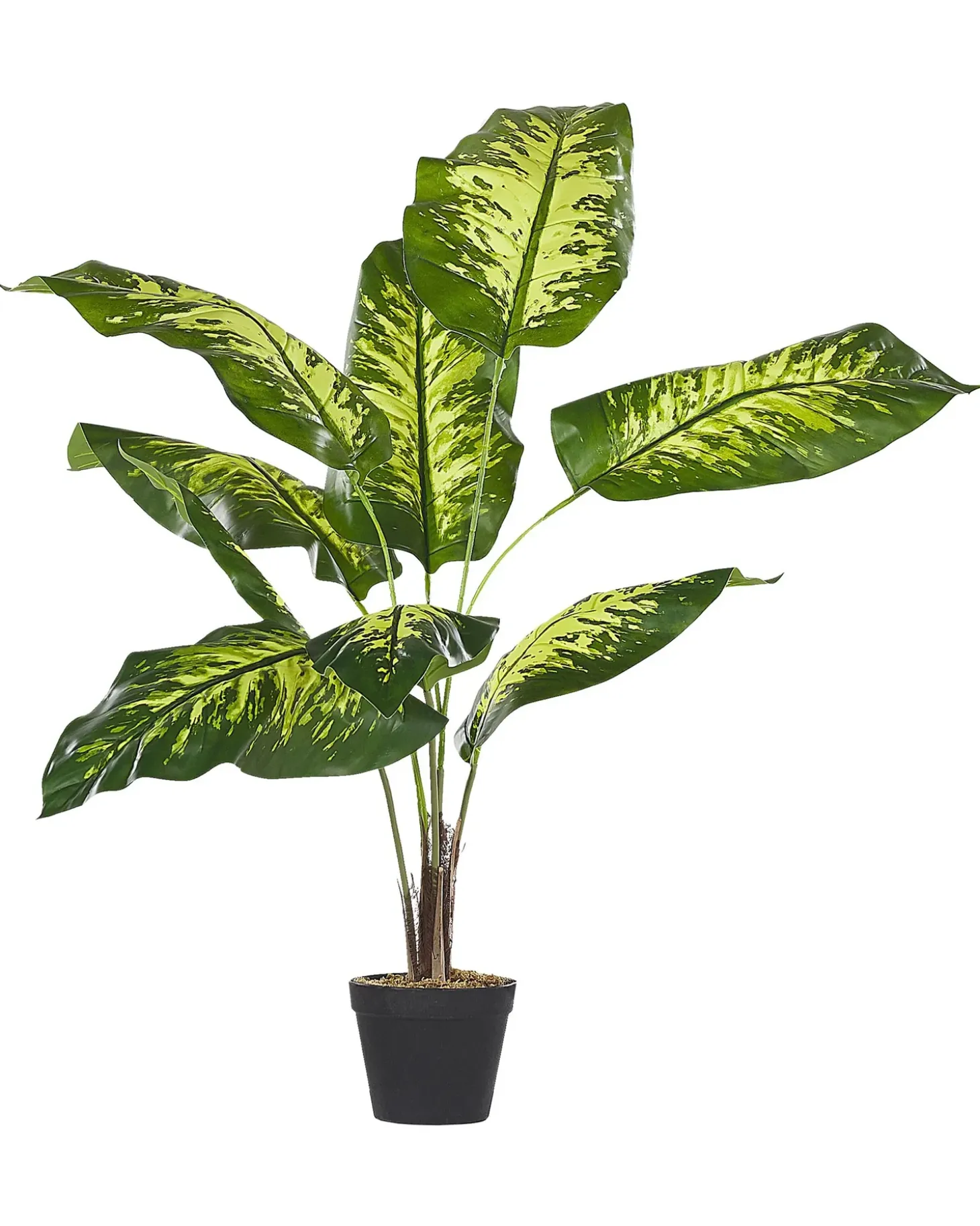 Kunstig plante DIEFFENBACHIA 122 cm Grøn