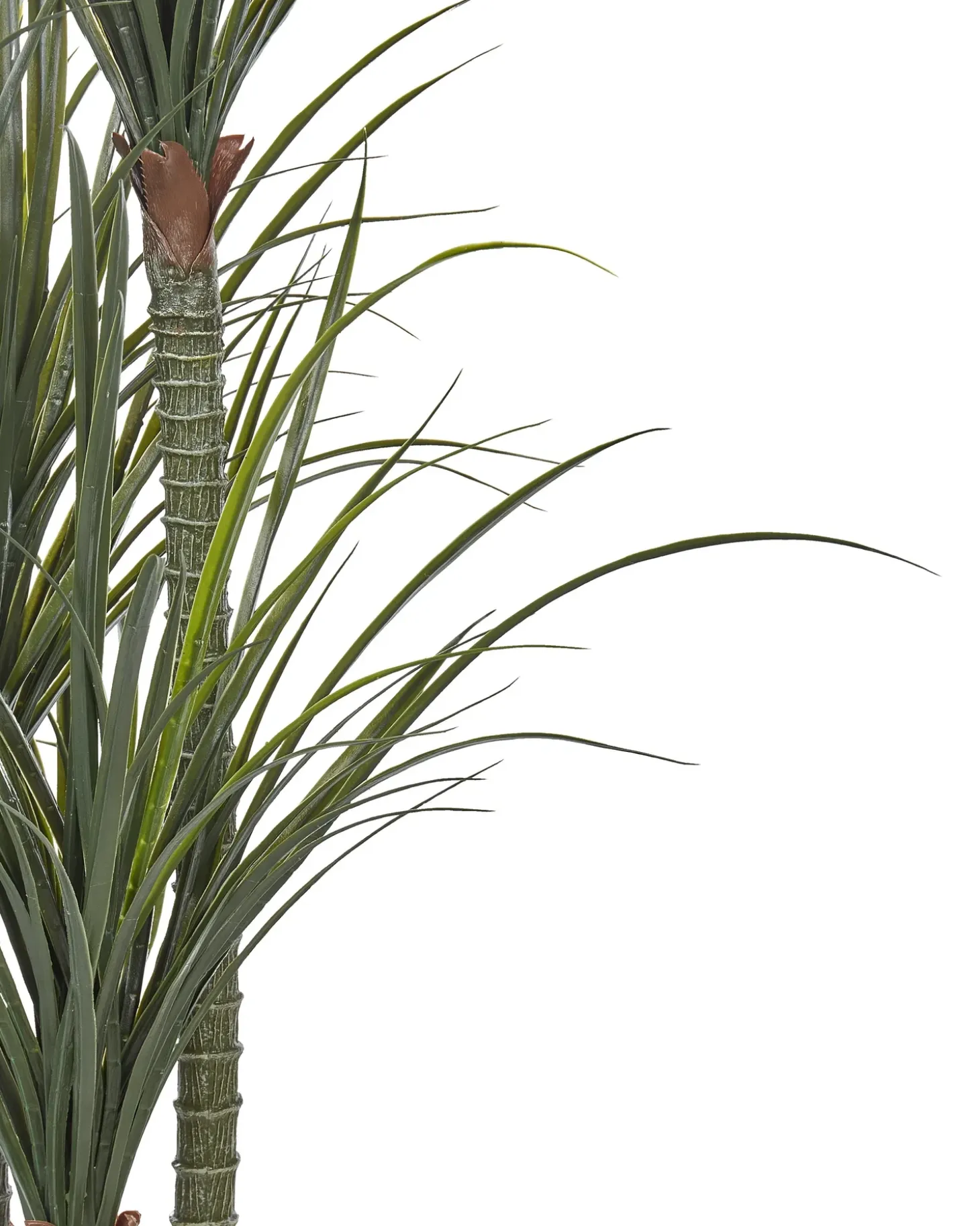 Kunstig plante DRACAENA ANITA 198 cm Grøn
