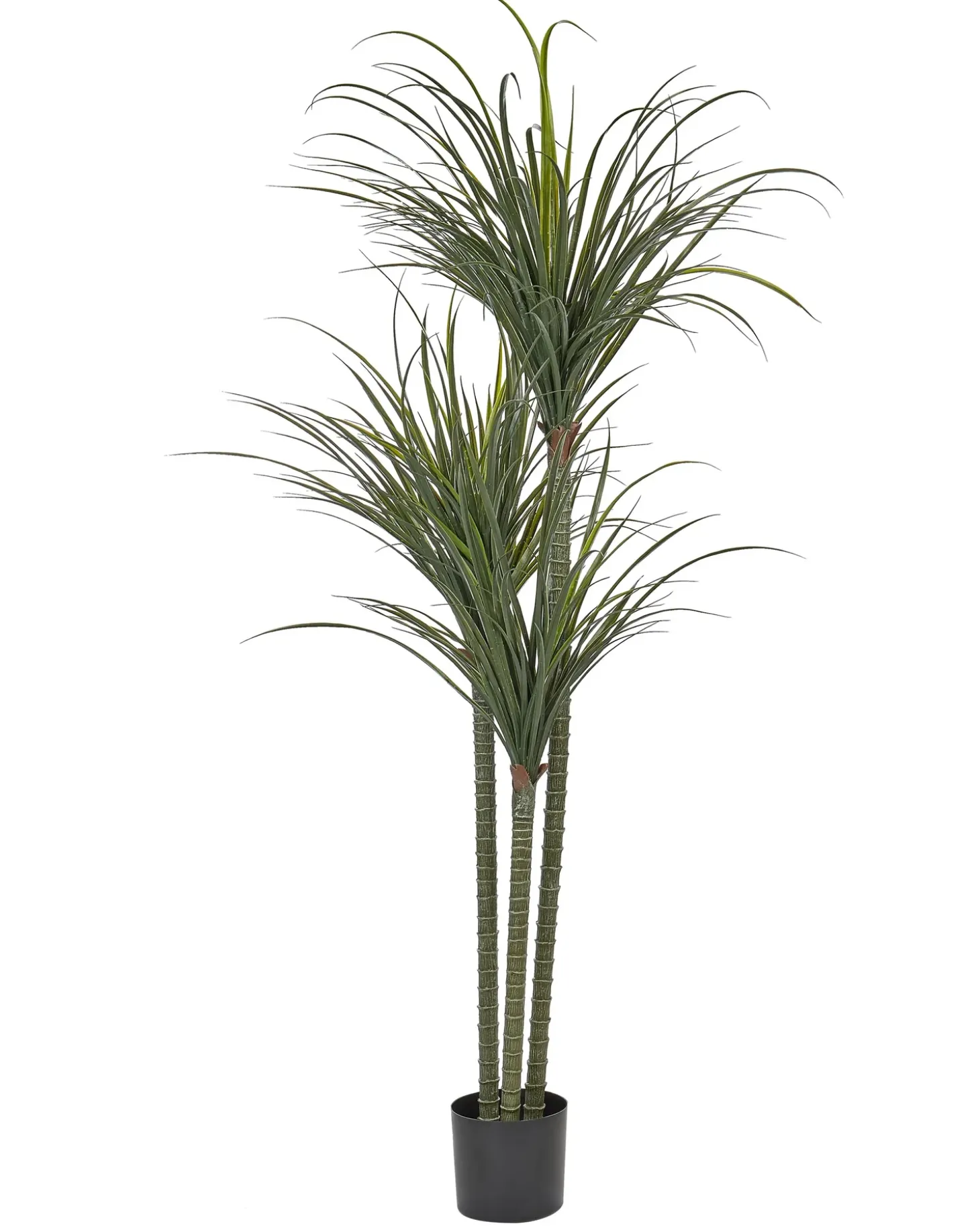 Kunstig plante DRACAENA ANITA 198 cm Grøn