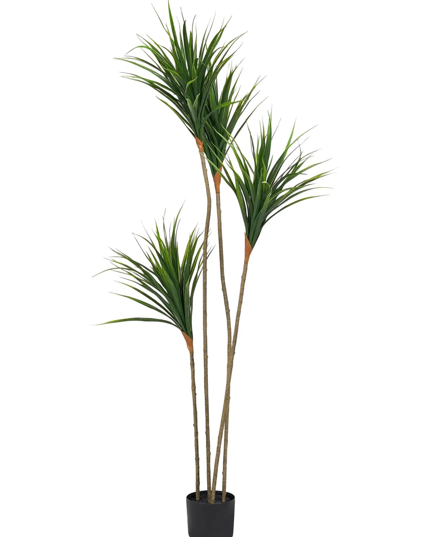 Kunstig plante DRACAENA DRACO 165 cm Grøn