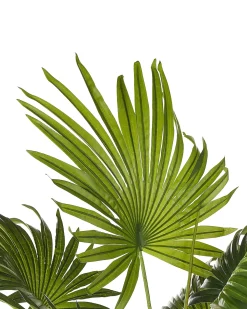 Kunstig plante FAN PALM 100 cm Grøn